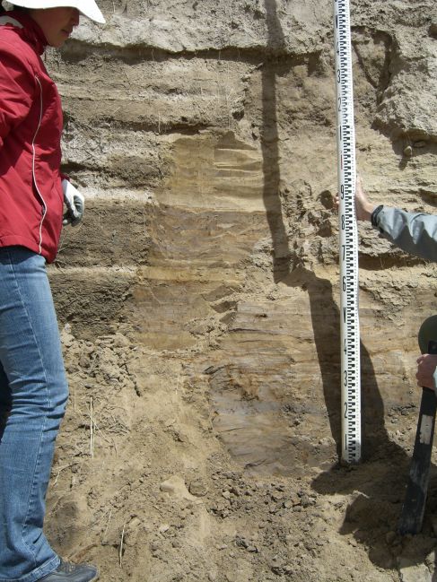  2006:09:07 01:48:09   NSideBuhaTer3 - Interbedded sand and clayey silt.jpg